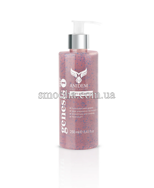 Подготовительный шампунь для волос ANIDEM Genesis Шаг 1 "Soft Shampoo" 160234 фото